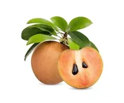 Sapota